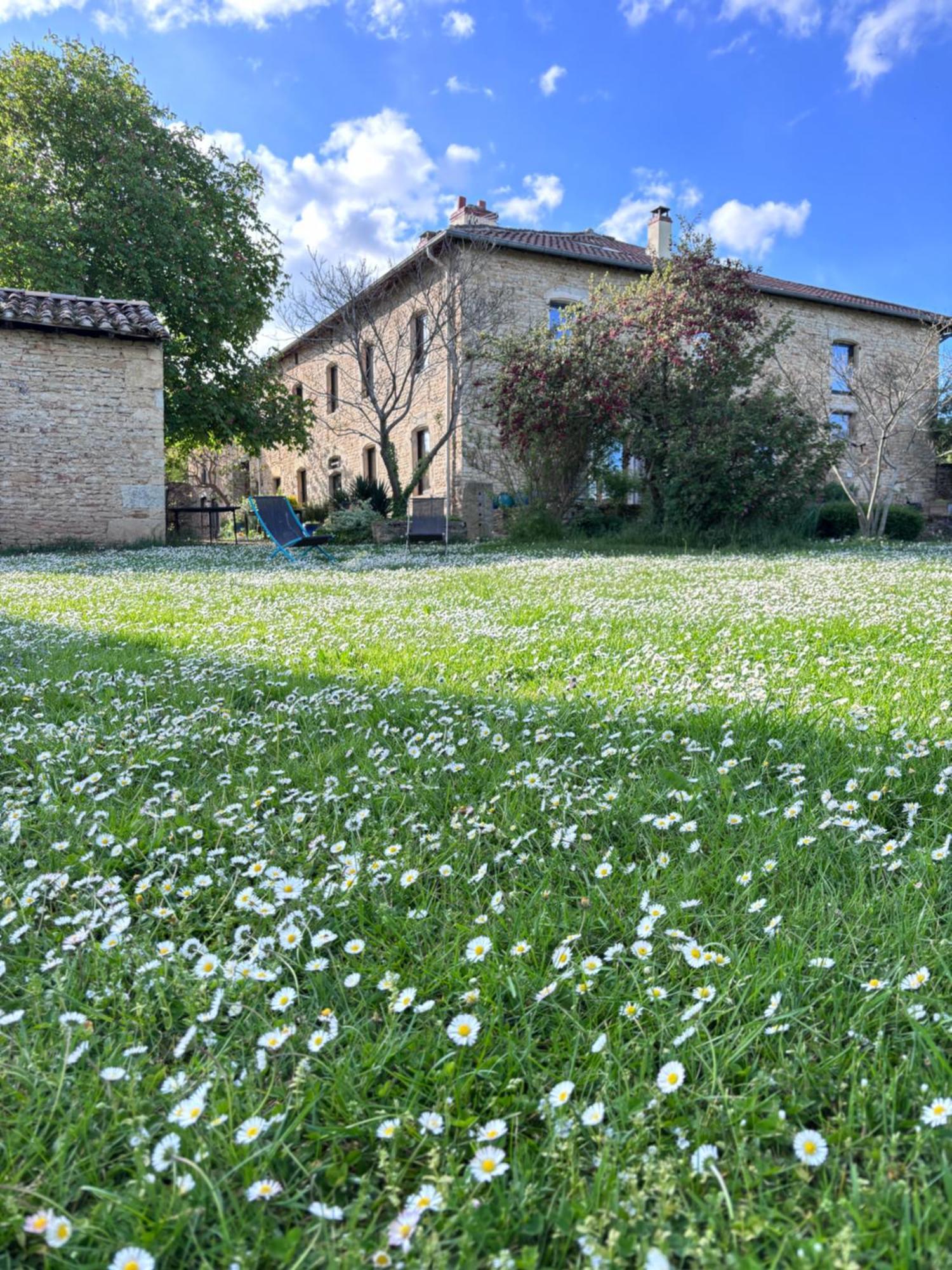 Domaine Du Vernay Mazille