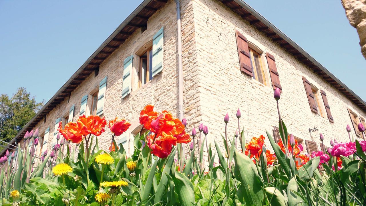 Bed & Breakfast Domaine Du Vernay Mazille